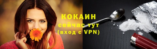 mdpv Белокуриха