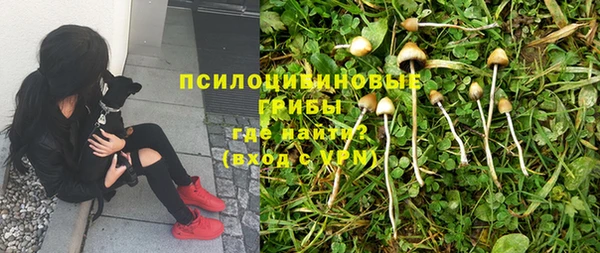 mdpv Белокуриха
